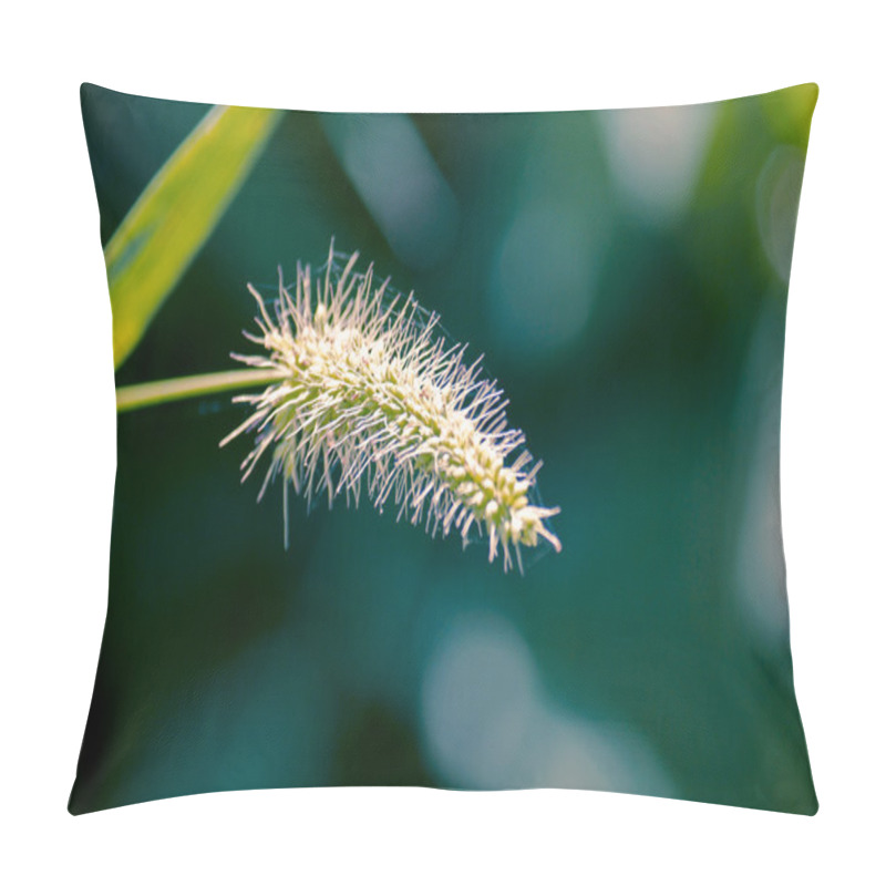 Personality  Setaria Viridis, Green Foxtail, Green Bristlegrass Pillow Covers