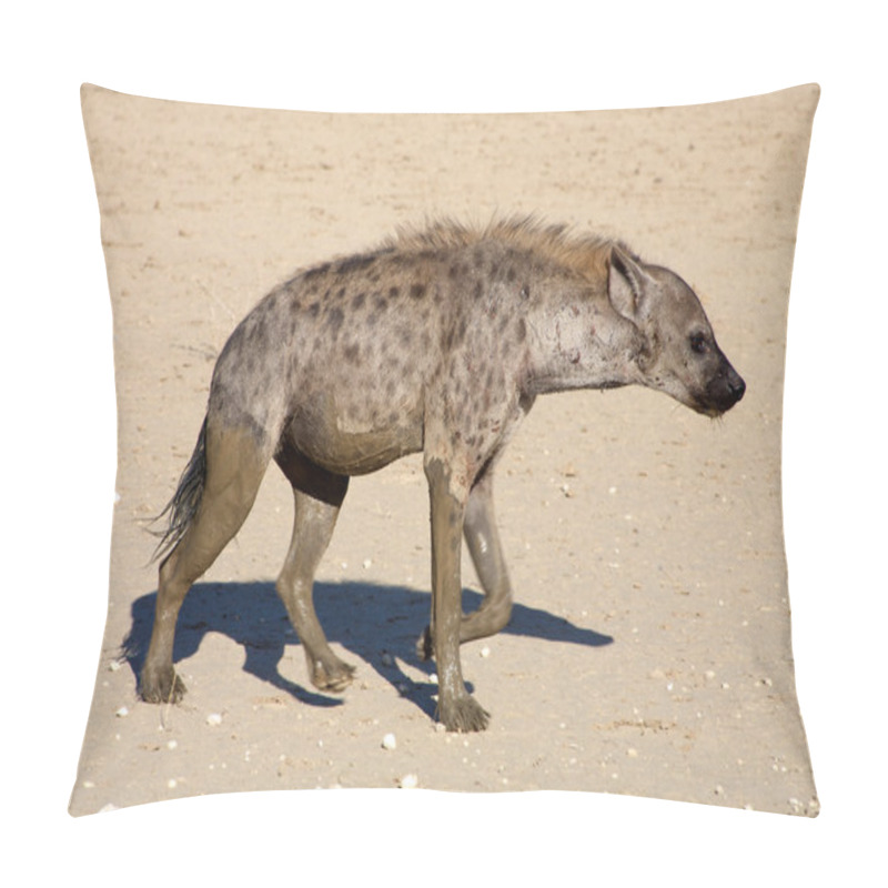 Personality  The Spotted Hyaena Pillow Covers