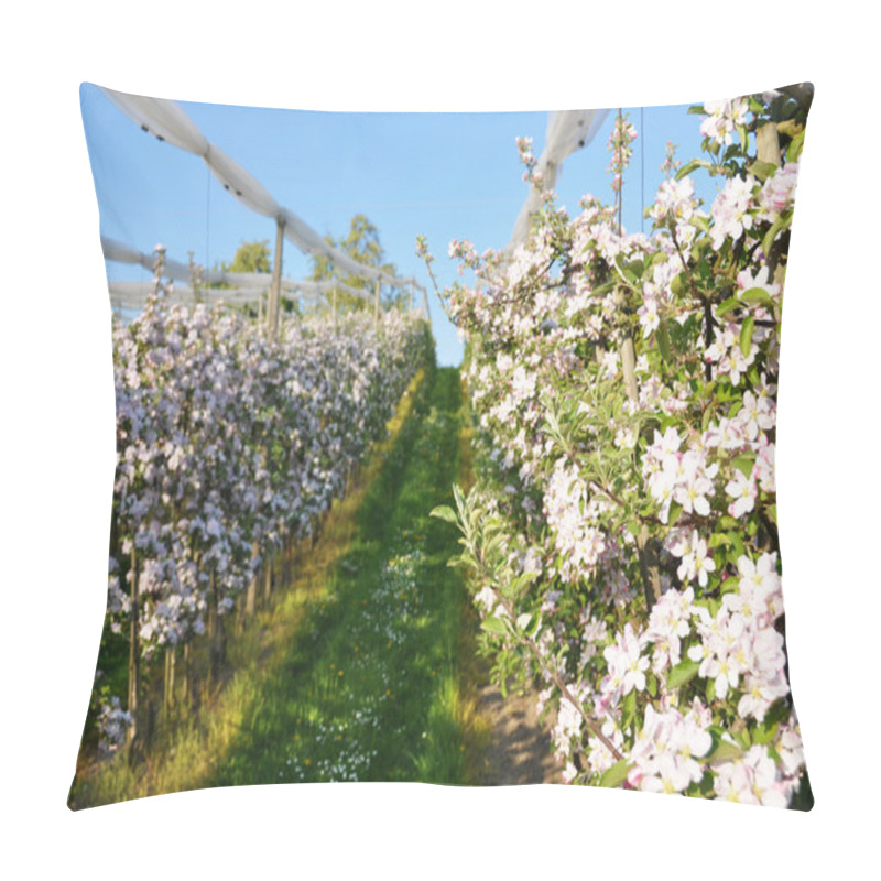 Personality  Apple Garden Blossom Pillow Covers