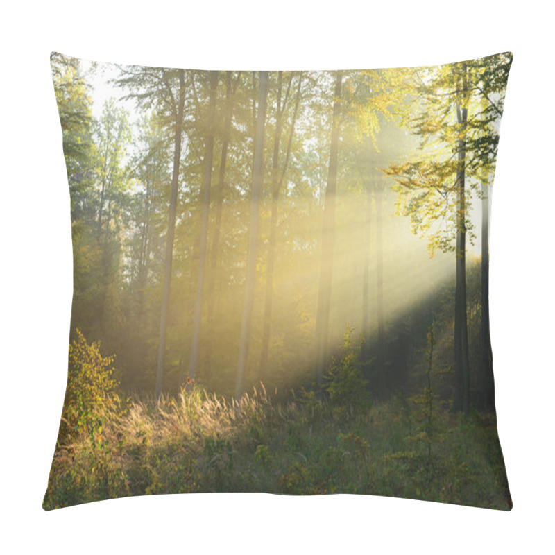 Personality  Beautiful Morning Sunbeams In Misty Forest Pillow Covers