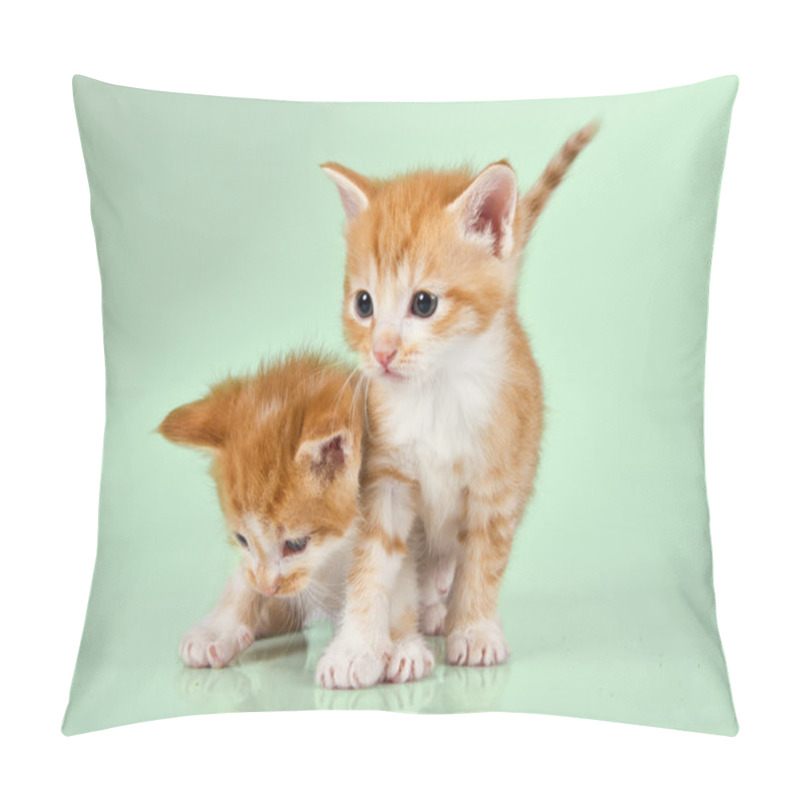 Personality  Two Ginger Kittens On A Green Surface Pillow Covers