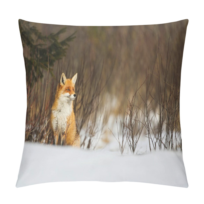 Personality  Red Fox Sitting On Snowy Meadow In Wintertime Nature. Pillow Covers