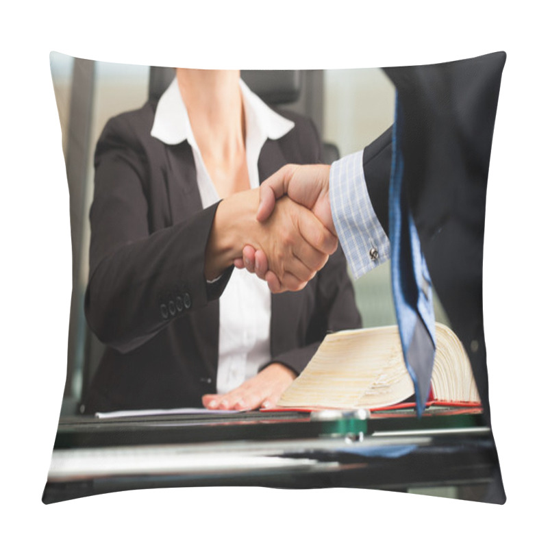 Personality  Female Lawyer Or Notary In Her Office Pillow Covers