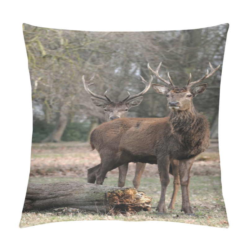 Personality  Fawn In Nature . Pillow Covers