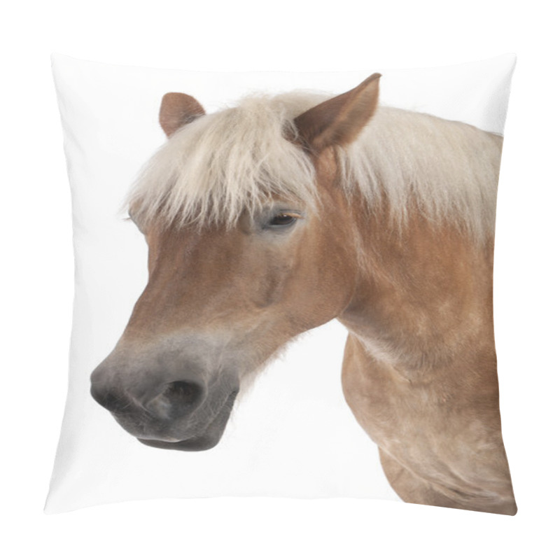 Personality  Close-up Of Belgian Horse, Close-up Of Belgian Heavy Horse, Brabancon, A Draft Horse Breed, 10 Years Old, Standing In Front Of White Background Pillow Covers