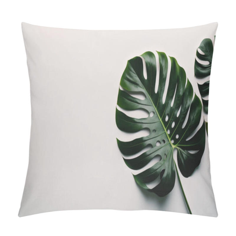 Personality  Monstera Leaves With Green Leaf Isolated On Grey Background. Flat Lay. Minimal Layout. Top View. Copy Pillow Covers