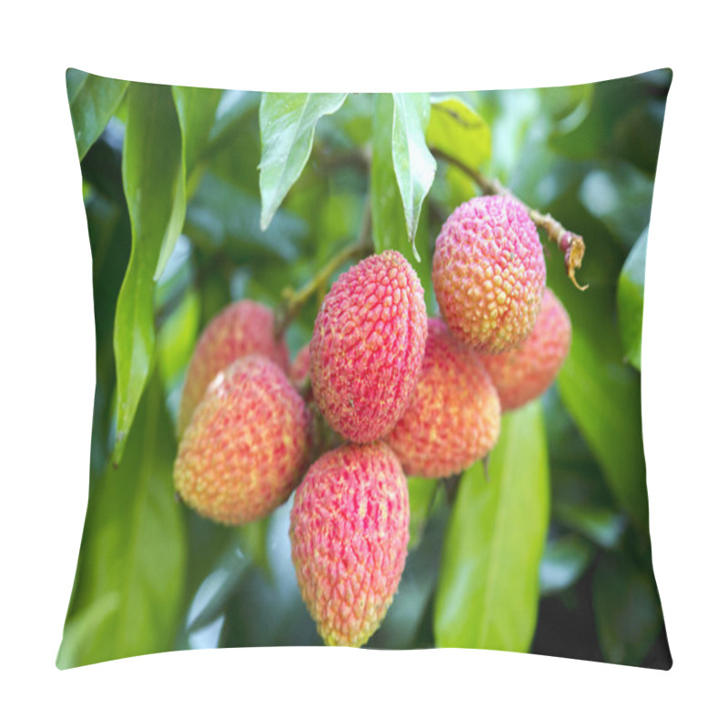 Personality  Brunch Of Fresh Lychee Fruits Hanging On Green Tree. Pillow Covers