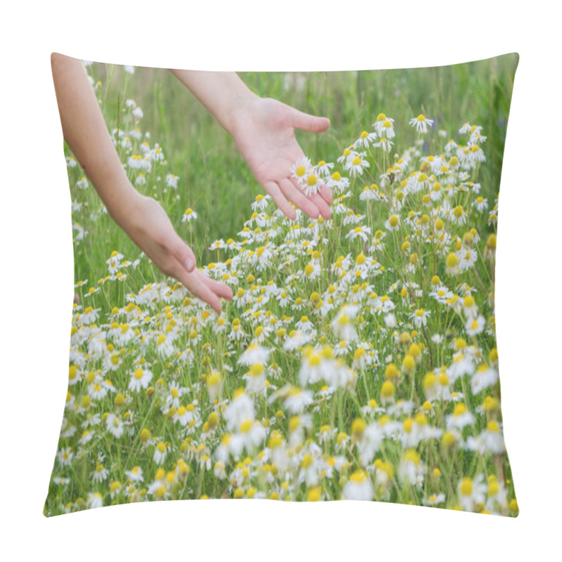 Personality  Camomile Flowers In Hand On Wide Field Under Midday Sun Pillow Covers