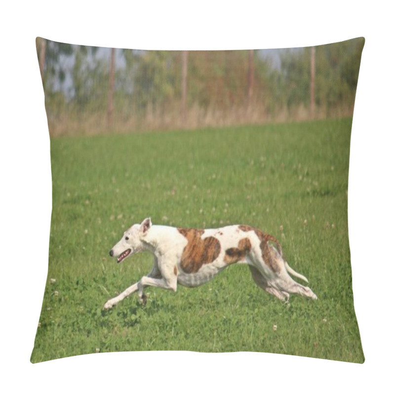 Personality  Pretty Galgo Is Running In The Park Pillow Covers