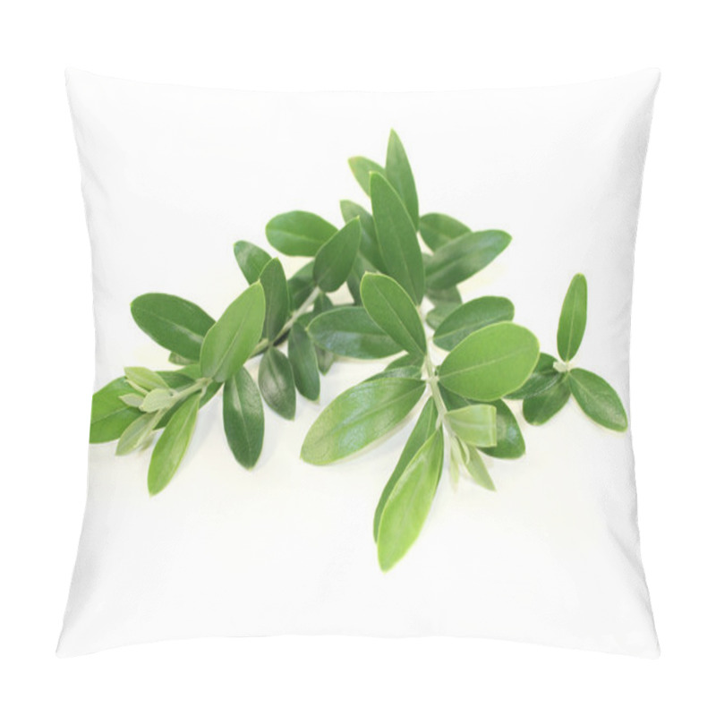 Personality  Olive Branches Pillow Covers