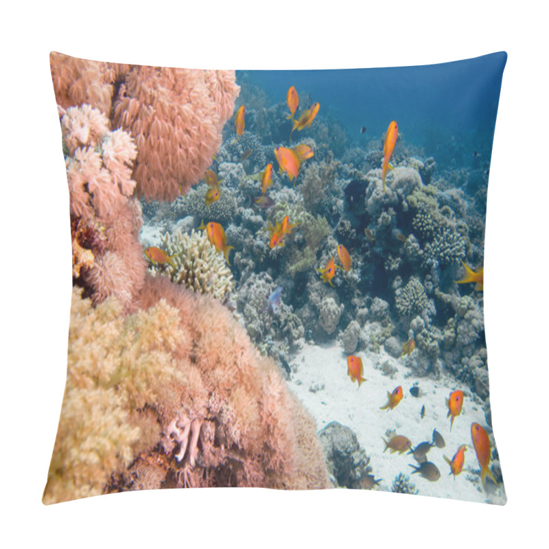 Personality  Golden Anthias (Pseudanthias Squamipinnis) In The Red Sea, Egypt Pillow Covers