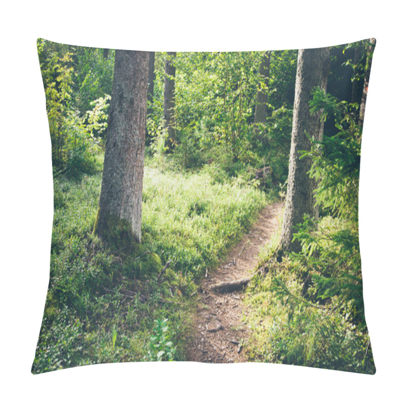 Personality  Scenic And Beautiful Tourism Trail In The Woods Near River . Ret Pillow Covers