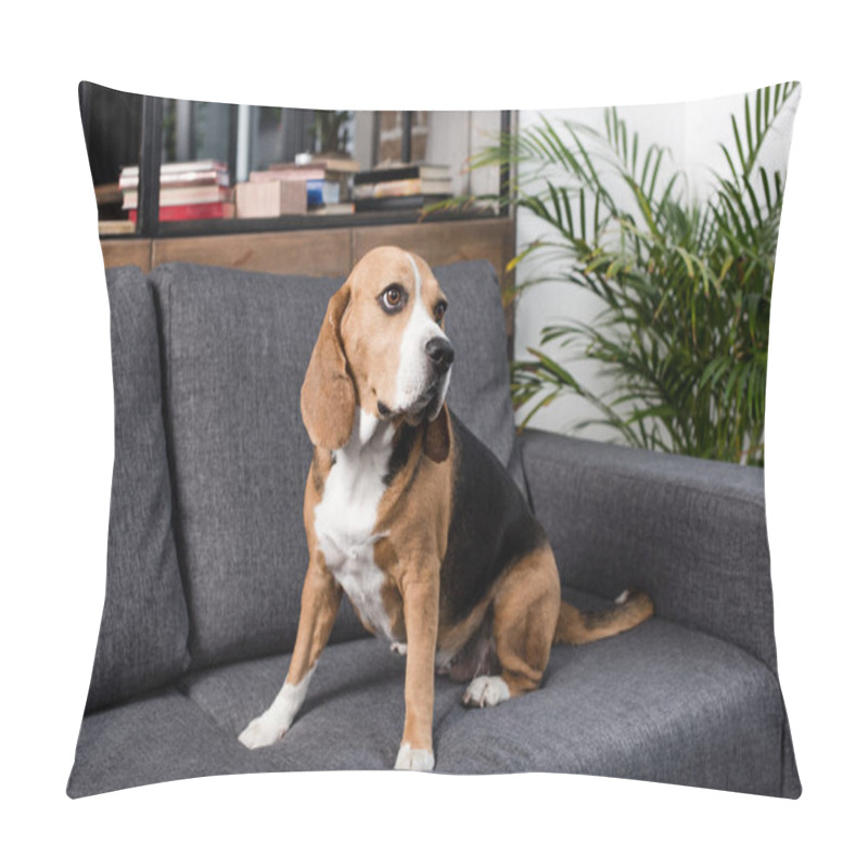 Personality  Beagle Dog On Sofa Pillow Covers