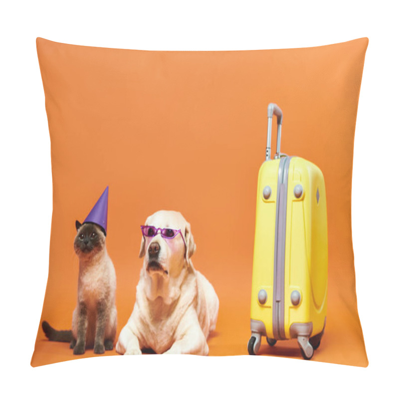 Personality  A Dog And A Cat Don Party Hats And Sunglasses In A Playful Studio Setting, Showcasing The Bond Between Domestic Animals. Pillow Covers