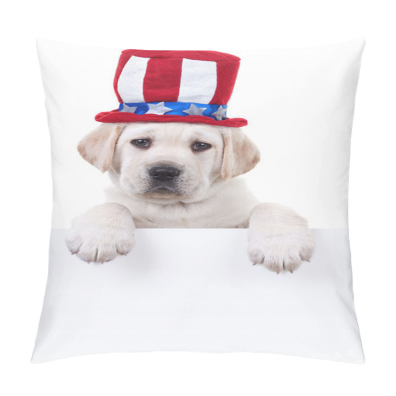 Personality  Patriotic Dog Sign Pillow Covers