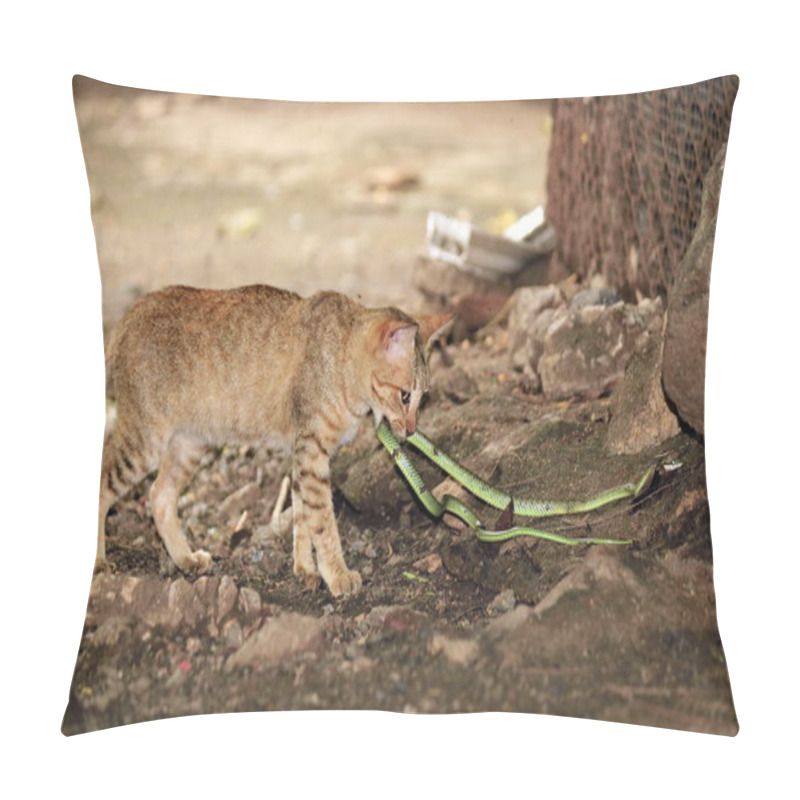 Personality  Predator Cats Are Fighting With Green Snakes Pillow Covers