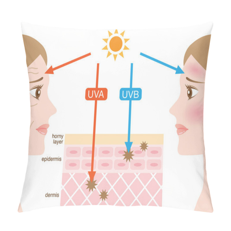 Personality  Infographic Skin Illustration. The Difference Between UVA And UVB Rays Penetration Pillow Covers