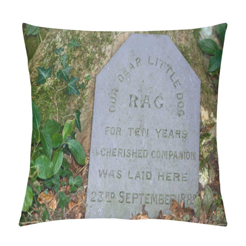 Personality  Tombstone To Pet Dog Buried In 1885 Pillow Covers