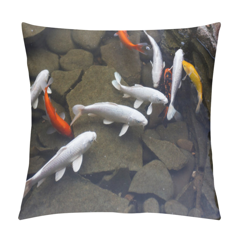 Personality  Lily, Gold Fish In A Man Made Pond. Pillow Covers