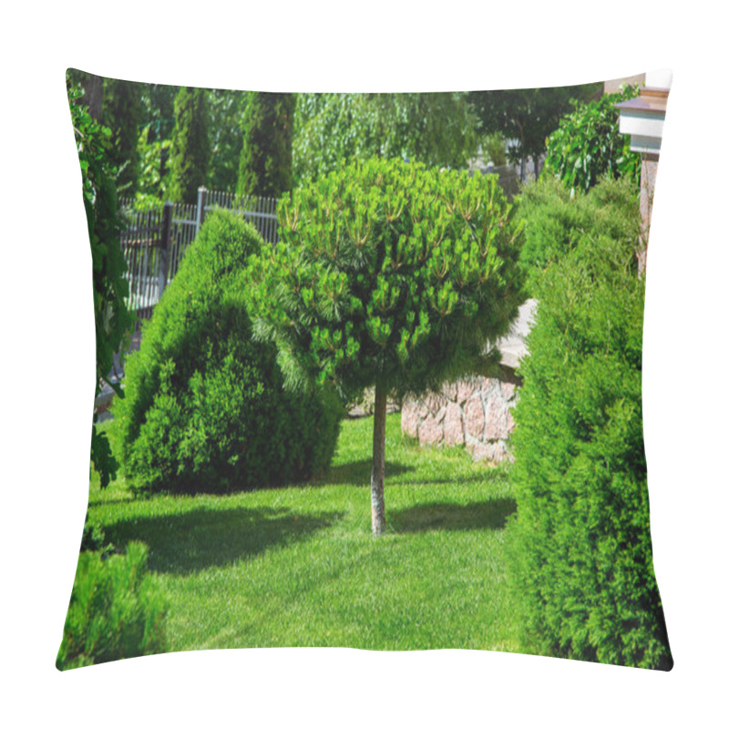 Personality  A Garden Of Evergreen Pine Trees And Bushes, A Green Grass With Plants In The Backyard Of The House. Pillow Covers