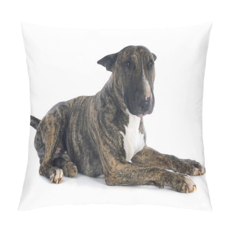 Personality  Bull Terrier Pillow Covers