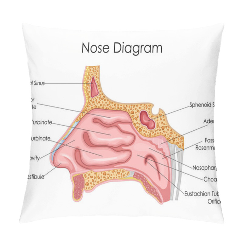 Personality  Medical Education Chart Of Biology For Nose Diagram Pillow Covers