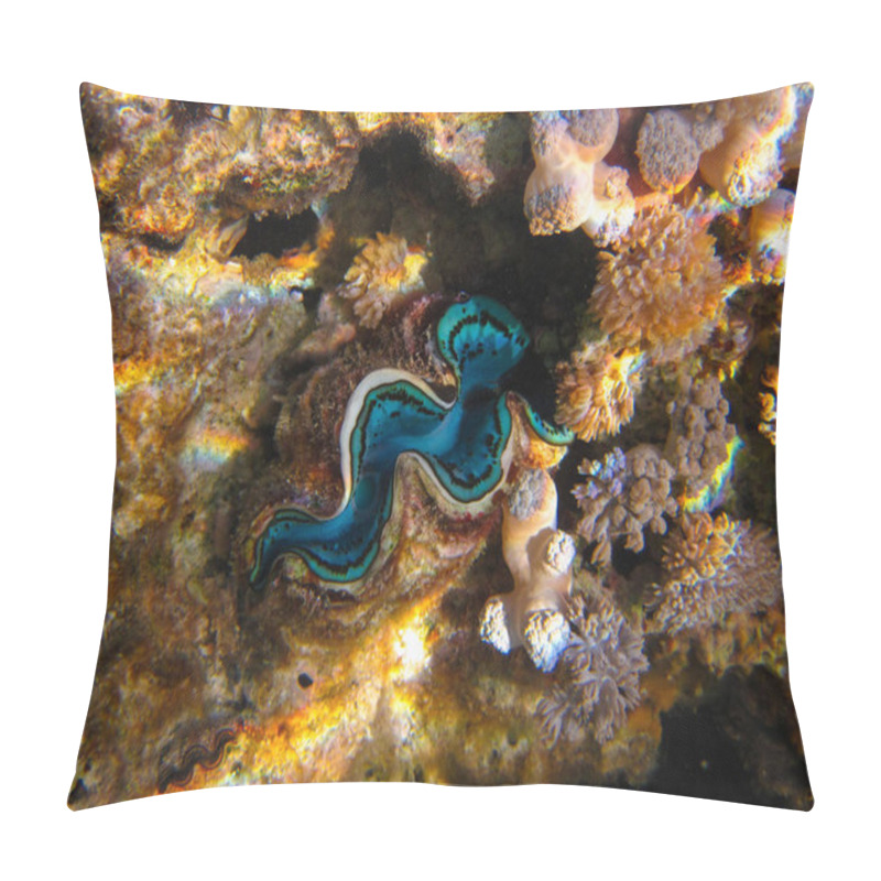 Personality  Tridacna Gigas, Giant Tridacna, Or Giant Cocked Hat In The Red Sea Coral Reef, Hurghada, Egypt Pillow Covers