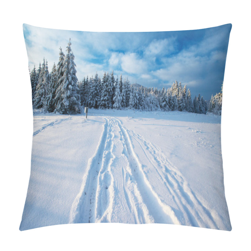 Personality  Winter Road Pillow Covers