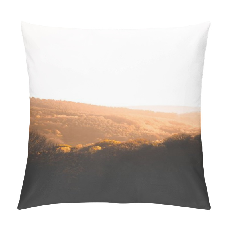 Personality  Beautiful Shot Of Brown Trees And Greenery On Hills And Mountains In The Countryside At Sunset Pillow Covers