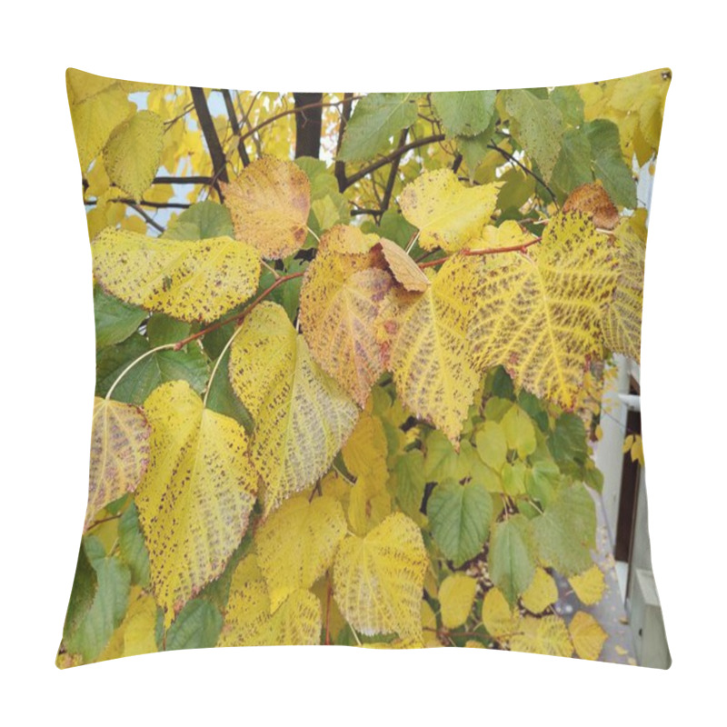 Personality  Golden Autumn Leaves With Dark Speckles, Representing The Passage Of Time And Nature's Imperfections, As A Metaphor For Beauty In Flaws And Seasonal Transformation Amidst The Warm Glow Of Fall Pillow Covers