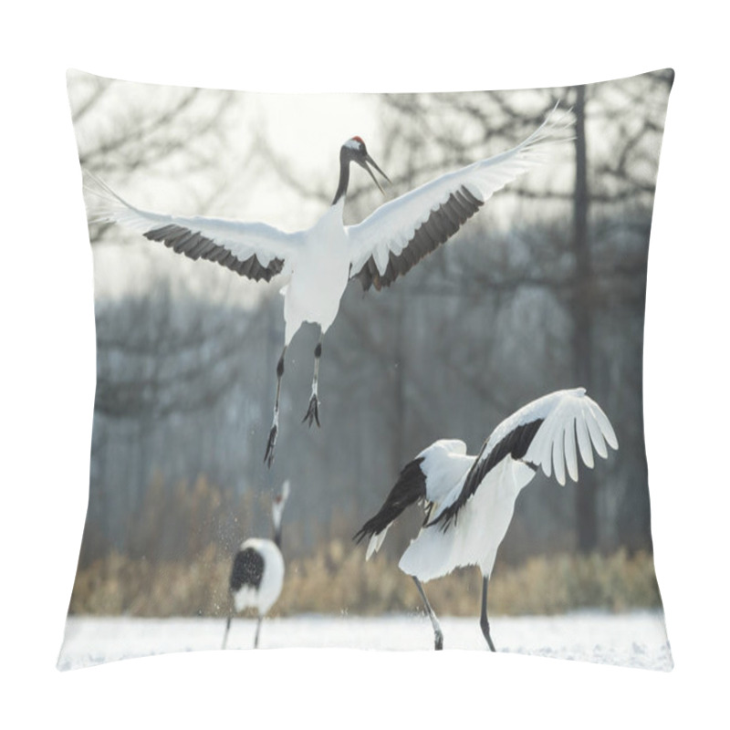 Personality  The Ritual Marriage Dance Of Cranes. The Red-crowned Cranes. Scientific Name: Grus Japonensis, Also Called The Japanese Crane Or Manchurian Crane, Is A Large East Asian Crane. Pillow Covers