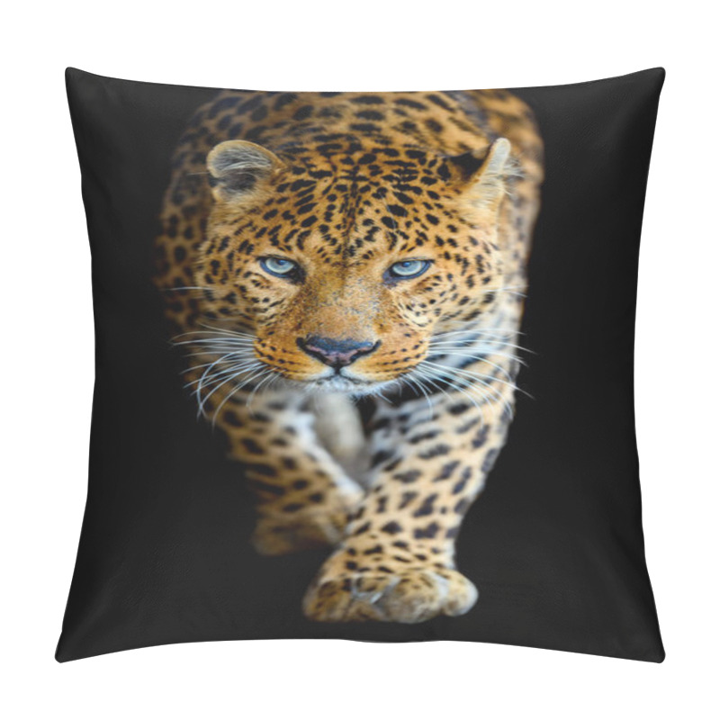 Personality  Close Up Beautiful Big Leopard Isolated On Black Background Pillow Covers