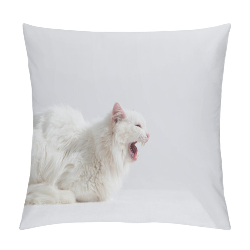 Personality  Furry Cat Making Meow Sound Isolated On Grey Pillow Covers