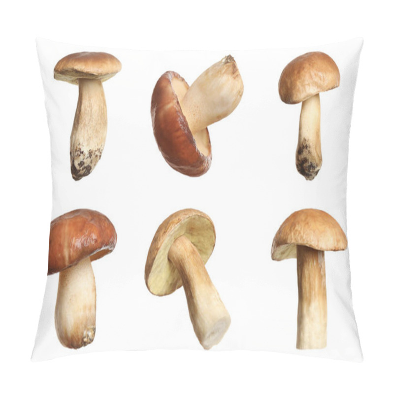 Personality  Set Of Fresh Slippery Jack Mushrooms On White Background Pillow Covers