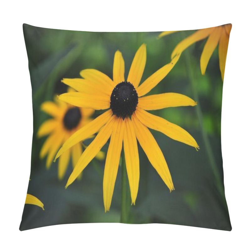 Personality  Black Eyed Susan Flower Pillow Covers