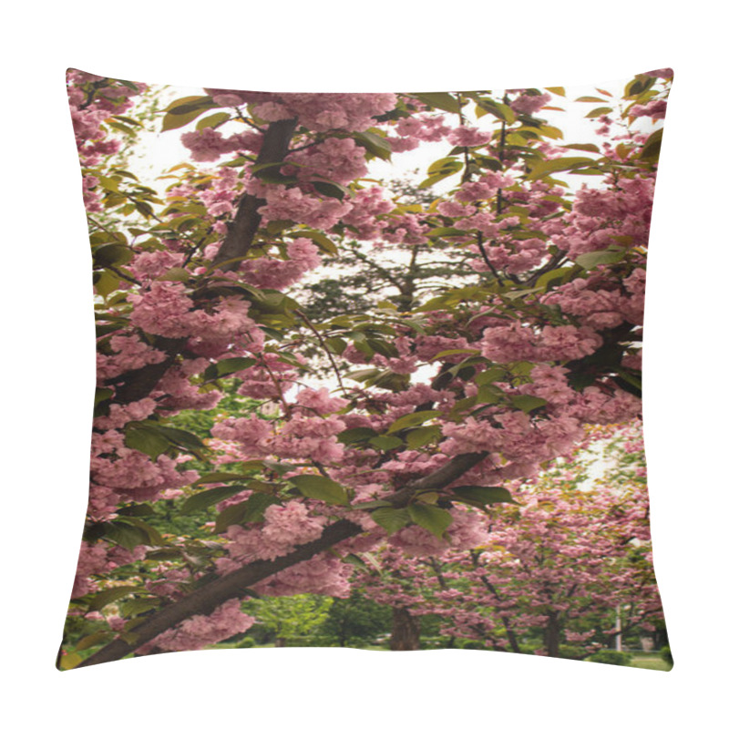 Personality  Branches Of Sakura In Full Bloom With Delicate Pink Flowers, Creating A Peaceful And Picturesque Scene. A Stunning Representation Of Spring And Renewal In Nature. Pillow Covers