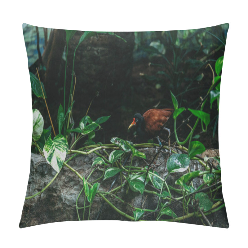 Personality  Tropical Bird On And Liana Plant In Zoo, Barcelona, Spain Pillow Covers