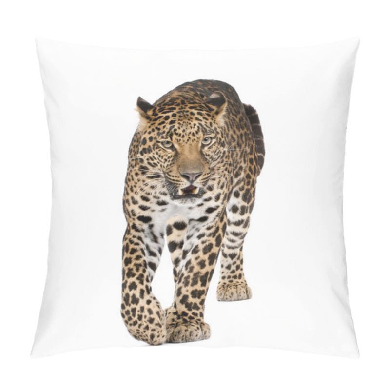 Personality  Portrait Of Leopard Walking And Snarling, Panthera Pardus, Against White Background, Studio Shot Pillow Covers