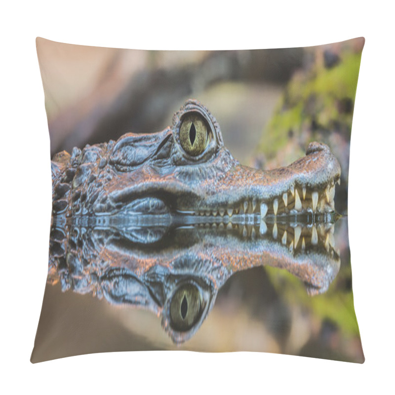 Personality  Close-up View Of A Spectacled Caiman Pillow Covers