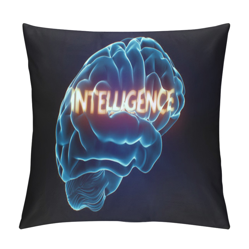 Personality  Intelligence Xray Brain Pillow Covers