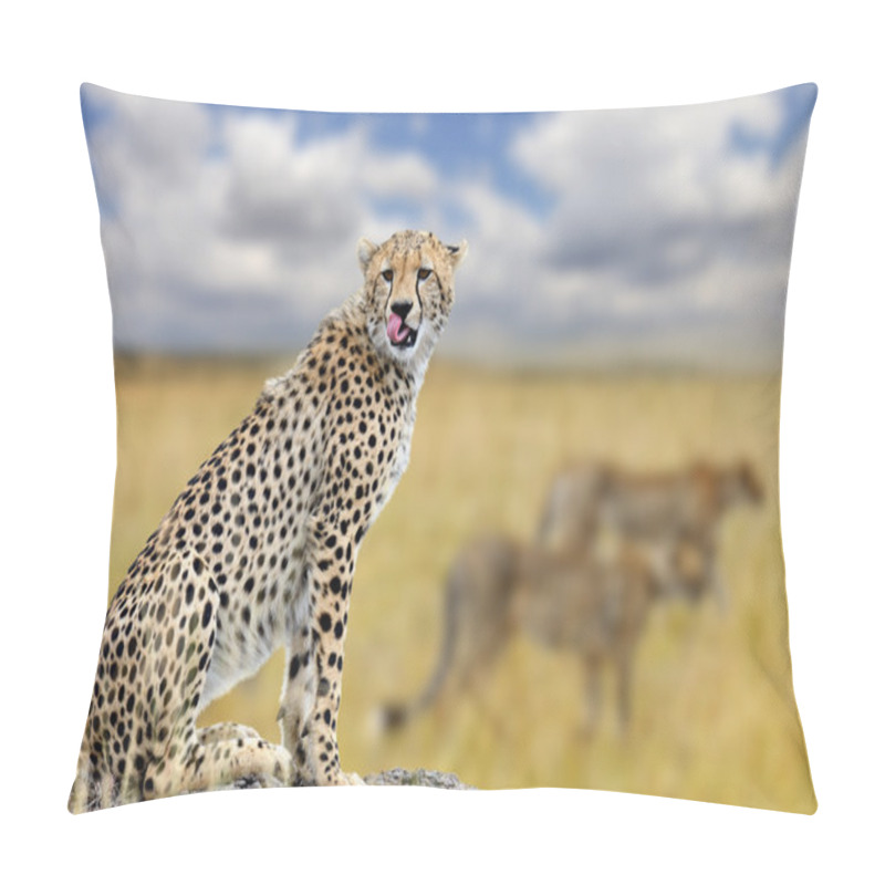 Personality  Cheetah On Savannah In Africa Pillow Covers