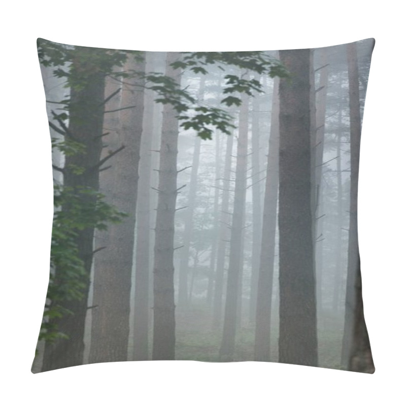 Personality  Ancient Evergreen Pine Trees In A Morning Fog. Latvia. Atmospheric Landscape. Eco Tourism, Environment, Loneliness, Darkness, Northern Woodland Pillow Covers