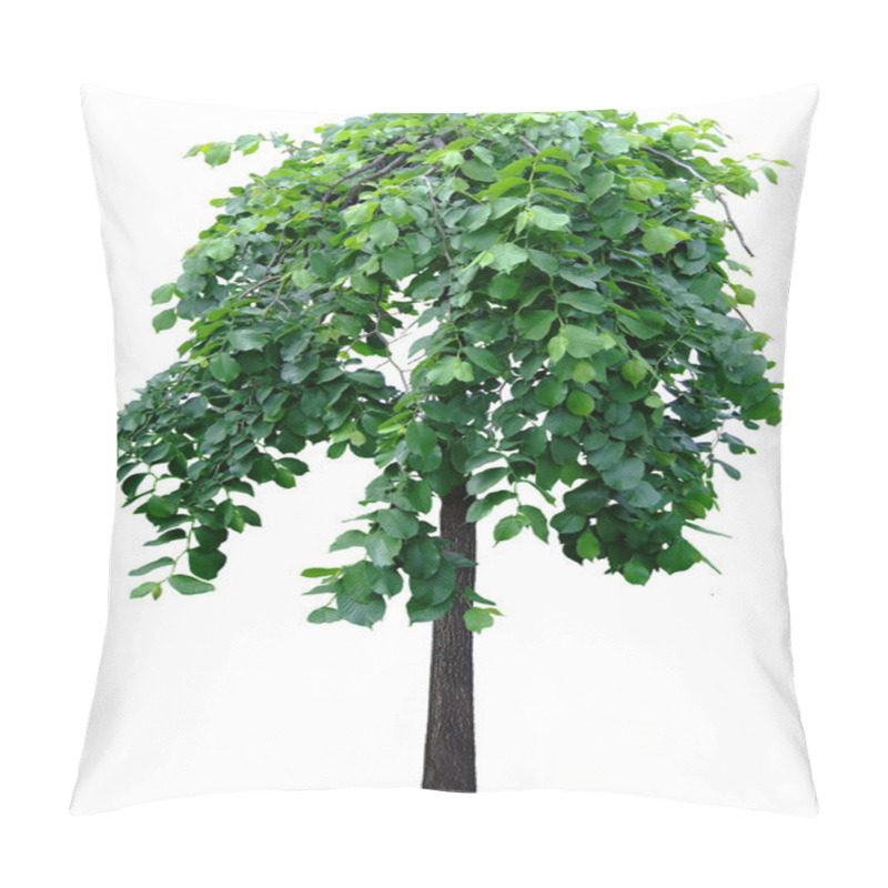 Personality  Elm Tree Isolated On White Background, Landscape Design Element Pillow Covers