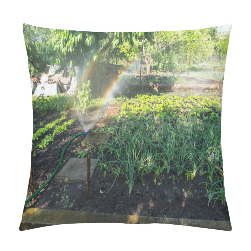 Personality  Watering A Vegetable Garden With A Sprinkler Pillow Covers