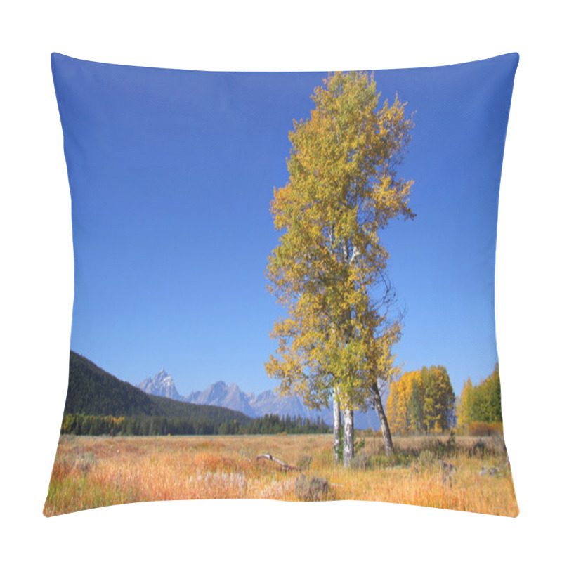 Personality  Tall Aspen Trees Pillow Covers