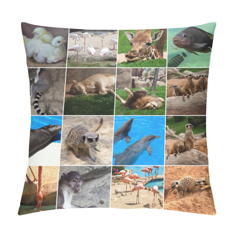 Personality  Collage Of Animals Pillow Covers