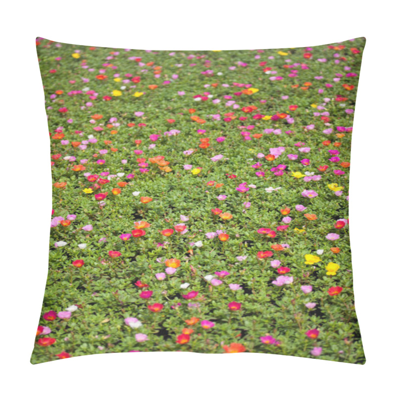 Personality  Portulaca Flowers Pillow Covers