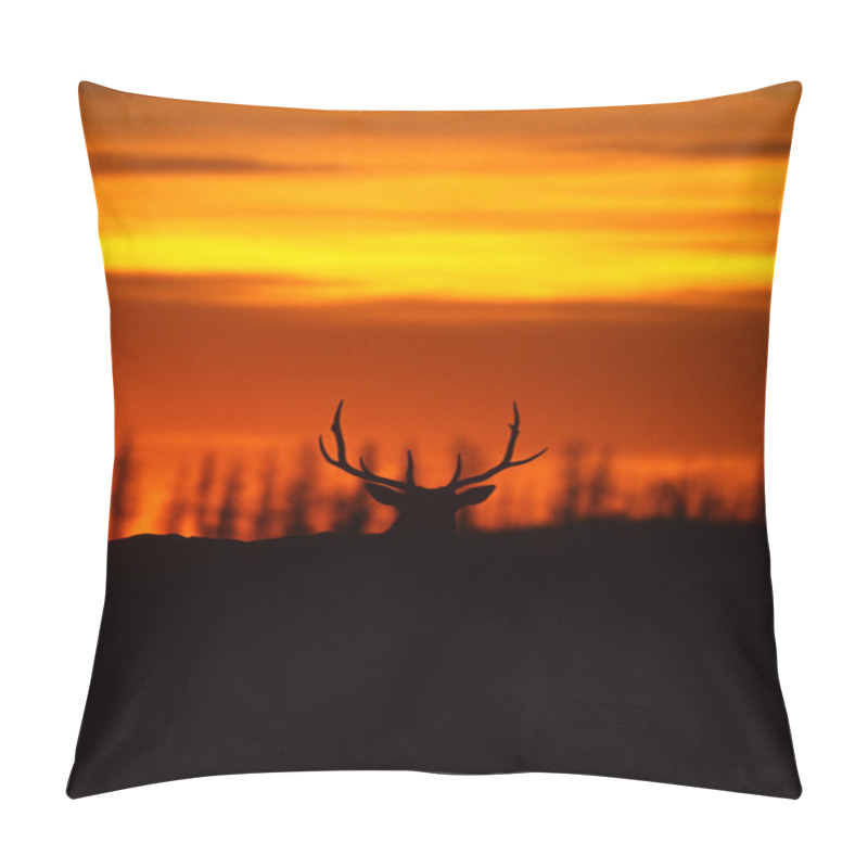 Personality  Bull Elk In Sunset Pillow Covers