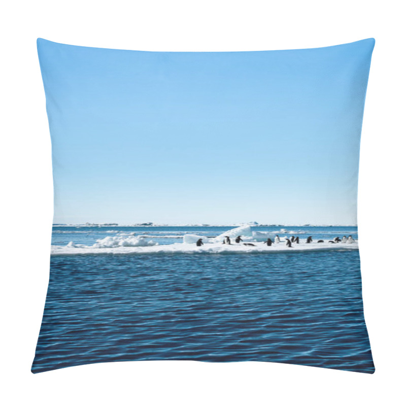 Personality  Distant Shot Of The Adelie Penguins Standing On The Ice Floe Drifting In The Weddell Sea, Antarctic Peninsula, Antarctica Pillow Covers