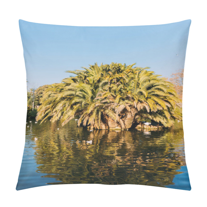 Personality  Beautiful Park Lake And Lush Palm Trees In Parc De La Ciutadella, Barcelona, Spain Pillow Covers